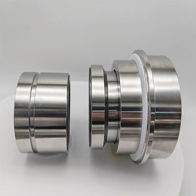Mechanical Seal TB1, TB1F & TB2 for Sulzer Process Pumps for Mixer SIC/SIC/PTFE/304