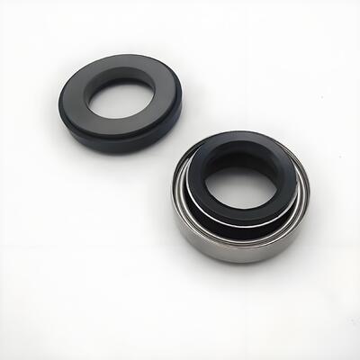 Mechanical Seal BT AR 301 for Pedrollo CK 50 CK 80E CK 90E Pumps CA CE V 304 11516101203