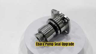 الختم الميكانيكي لمضخة Ebara Eb-b-16 Tc Silicon Seal