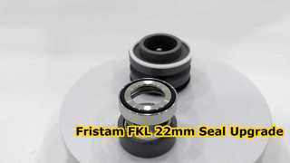 تعرف على سبب اختيار الختم الميكانيكي SIC SIC FKM مقاس 22 مم المناسب لمضخة Fristam FKL